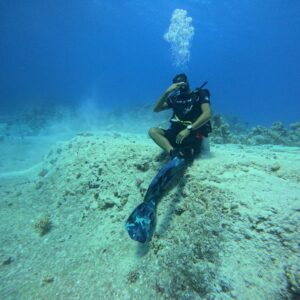 Check Dive – Beach