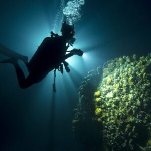 Night Dive – Beach