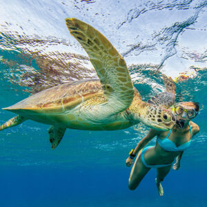 Sharm El Naga Snorkeling
